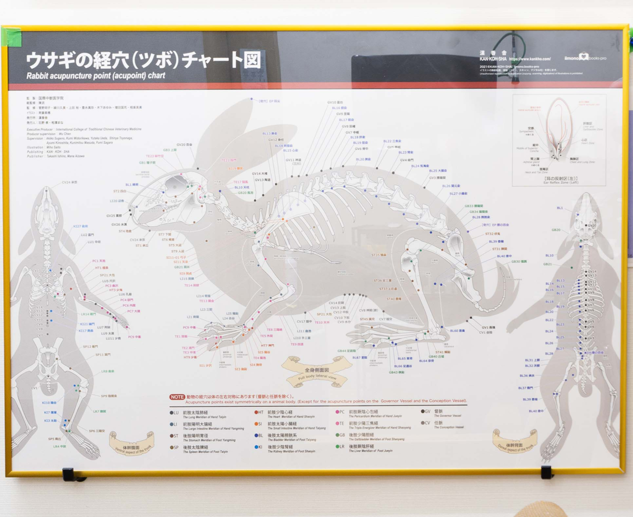 ウサギのツボチャート